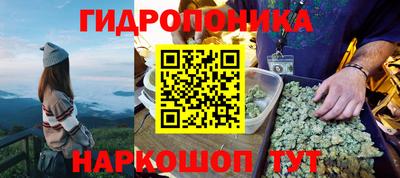 индика Северобайкальск