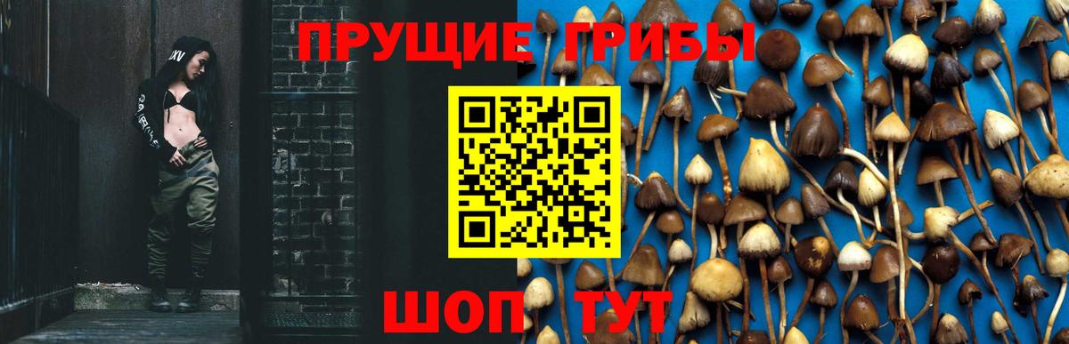 что такое наркотик  Вход с VPN  Спасск-Дальний  Галлюциногенные грибы Psilocybe 